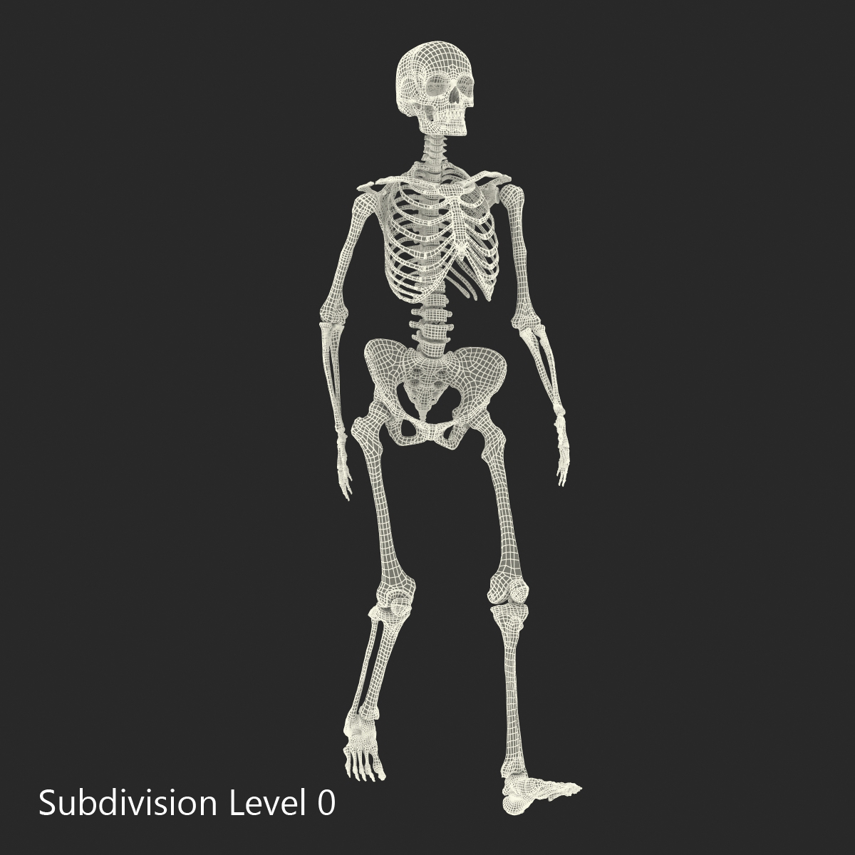 3D Human Female Skeleton Pose 3 model