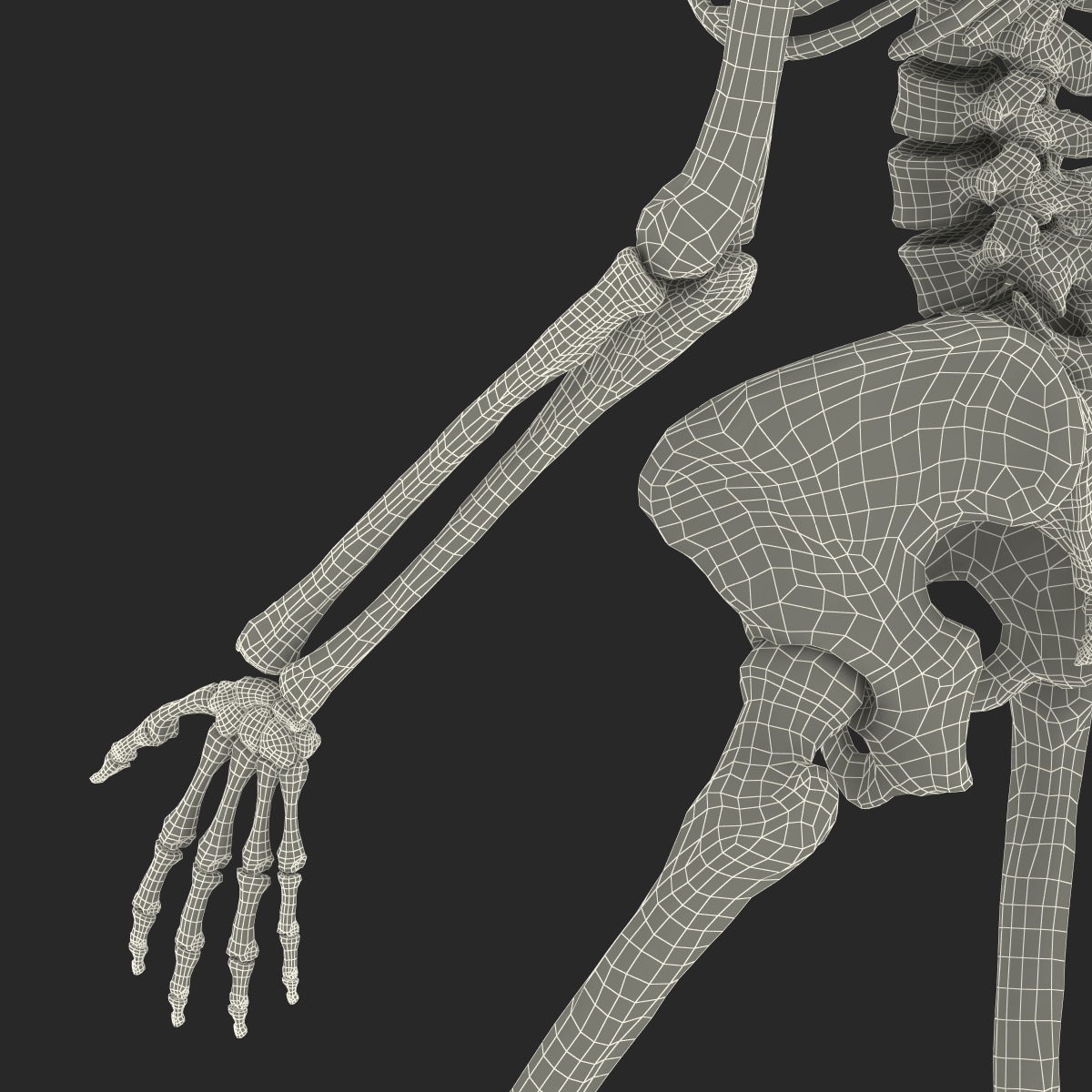 3D Human Female Skeleton Pose 3 model