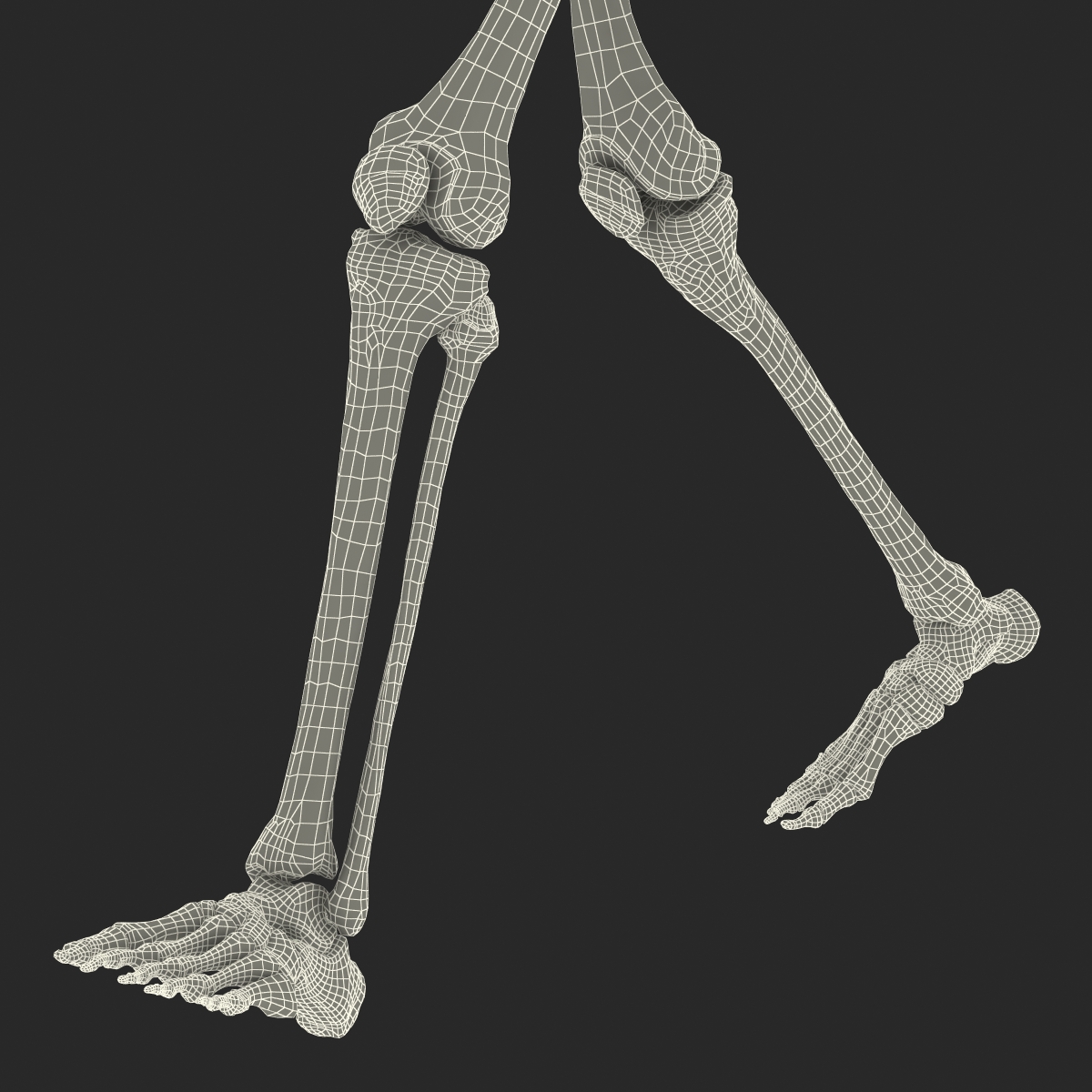 3D Human Female Skeleton Pose 3 model