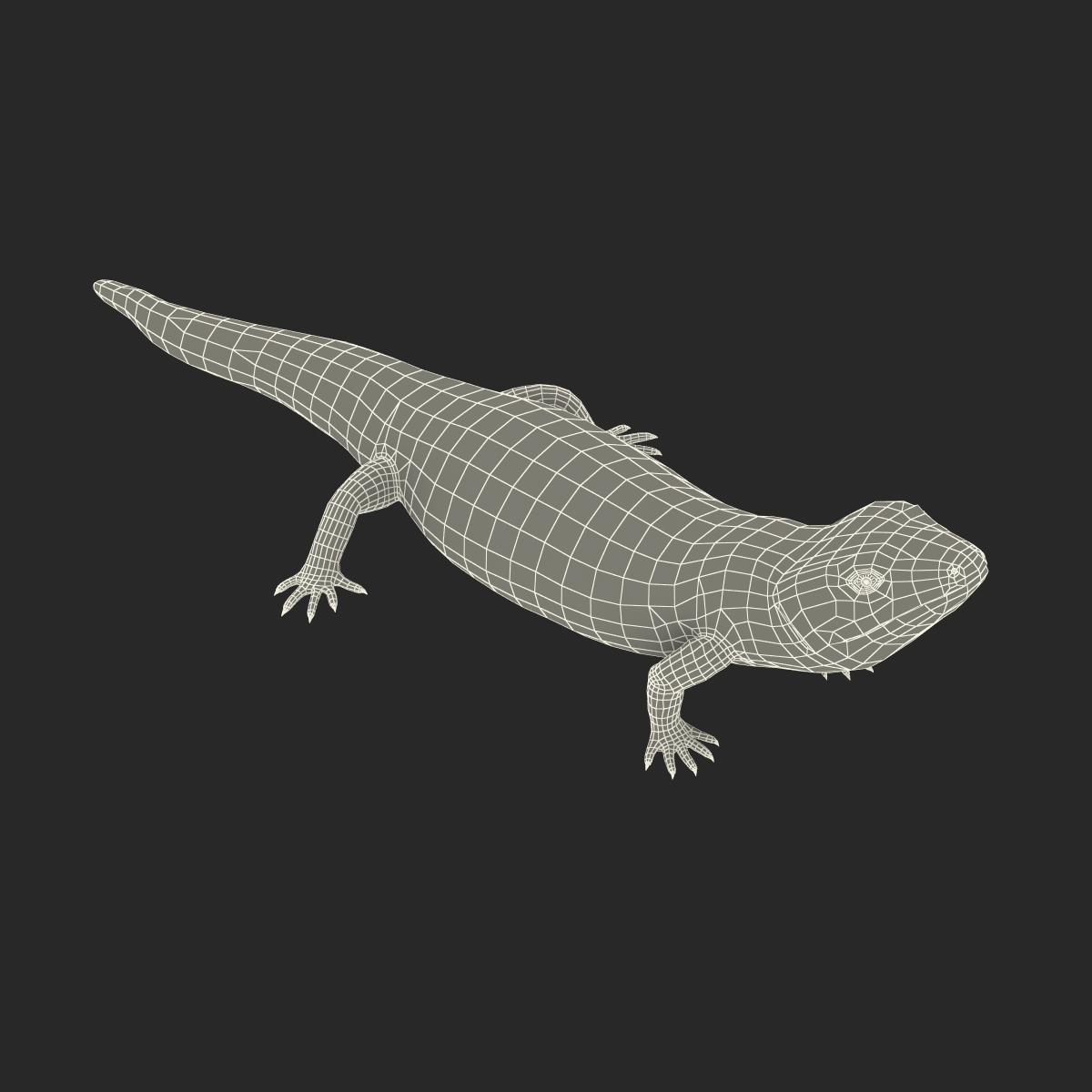 3D model Blue Tongued Skink Pose 3