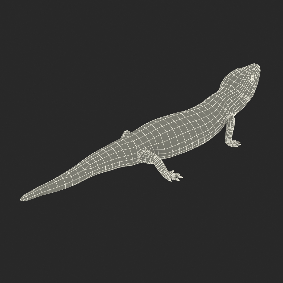 3D model Blue Tongued Skink Pose 3