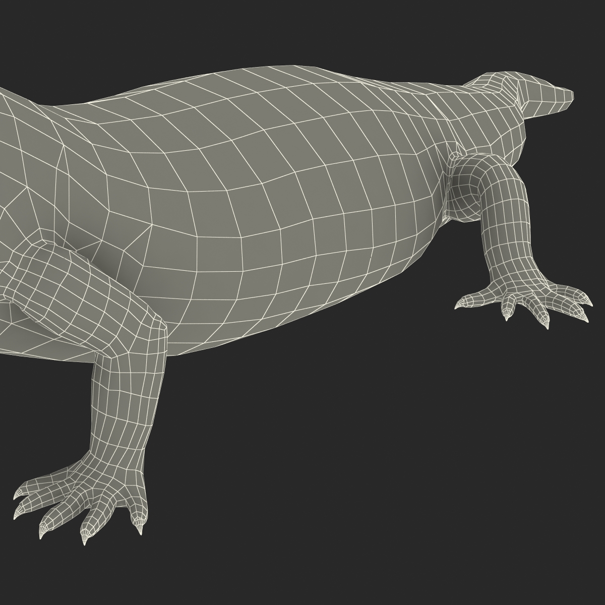 3D model Blue Tongued Skink Pose 3