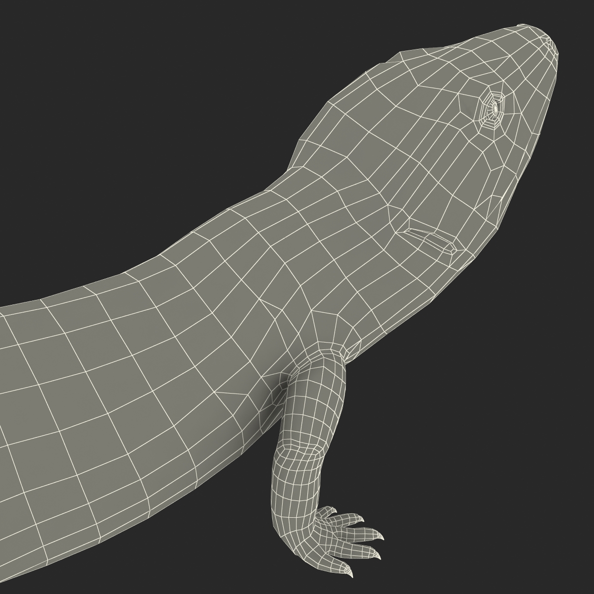 3D model Blue Tongued Skink Pose 3