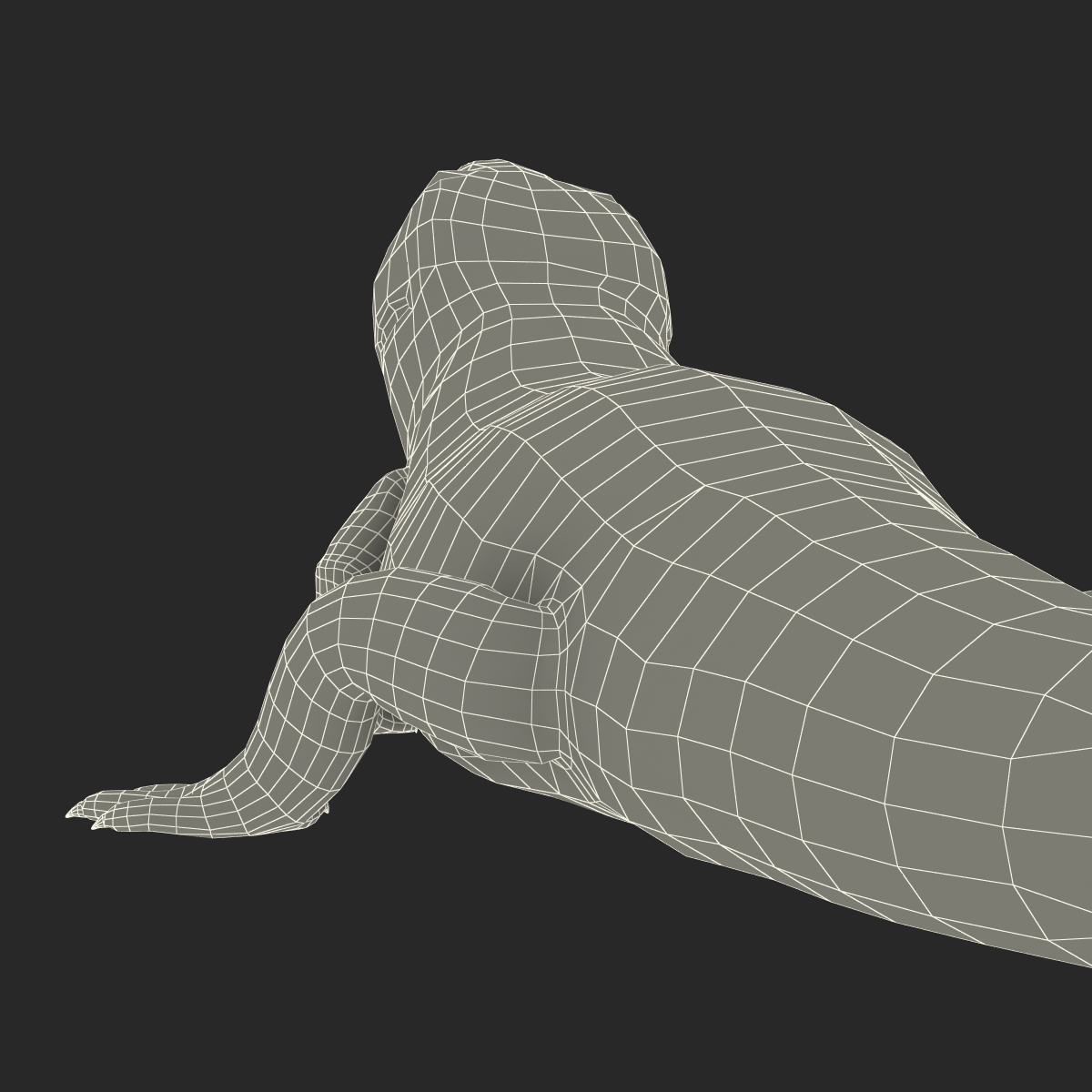 3D model Blue Tongued Skink Pose 3