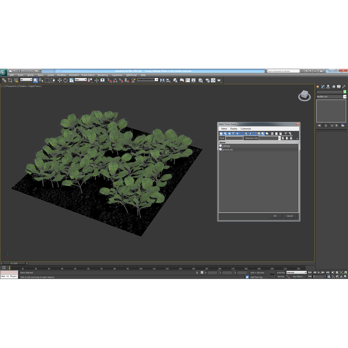 Young Cabbage Plants in the Garden 3D model