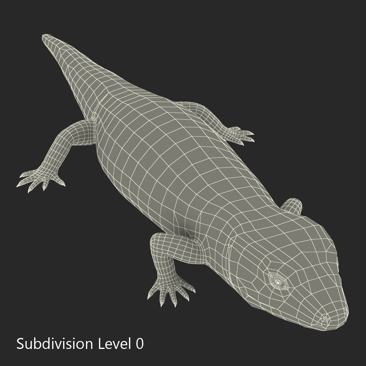 3D Blue Tongued Skink model