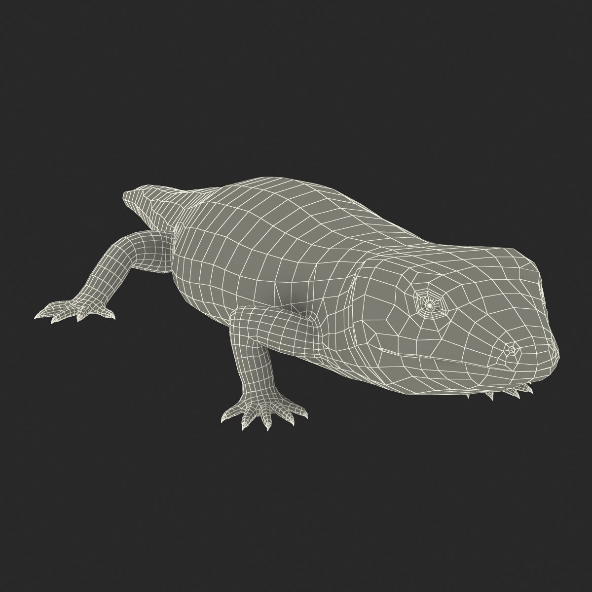 3D Blue Tongued Skink model