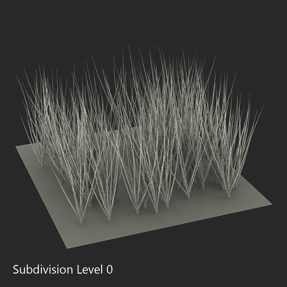 Young Onion Plants in the Garden 3D