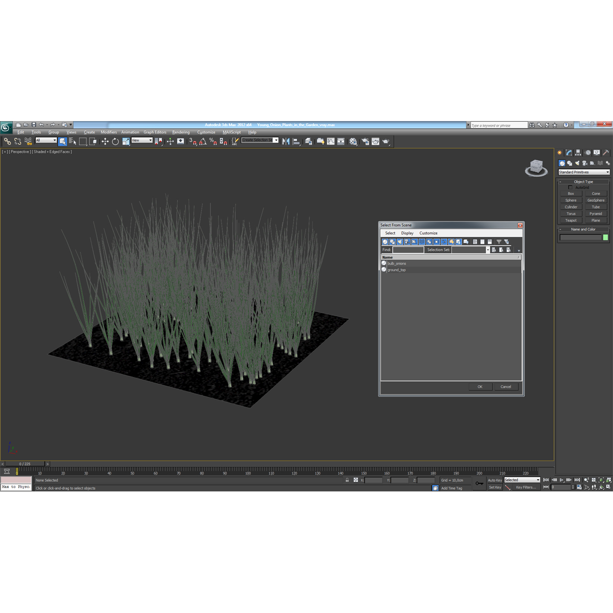 Young Onion Plants in the Garden 3D