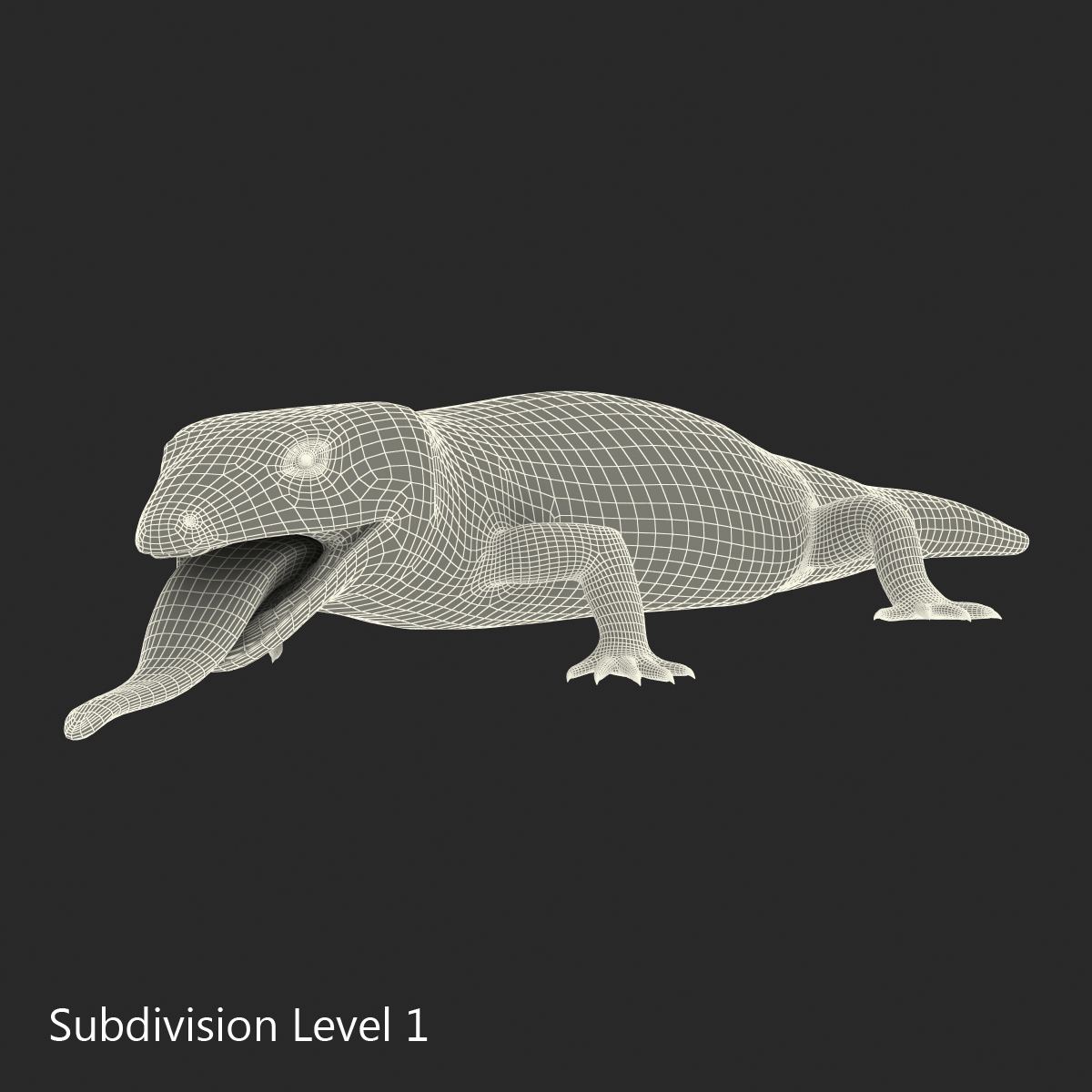 3D model Blue Tongued Skink Pose 4