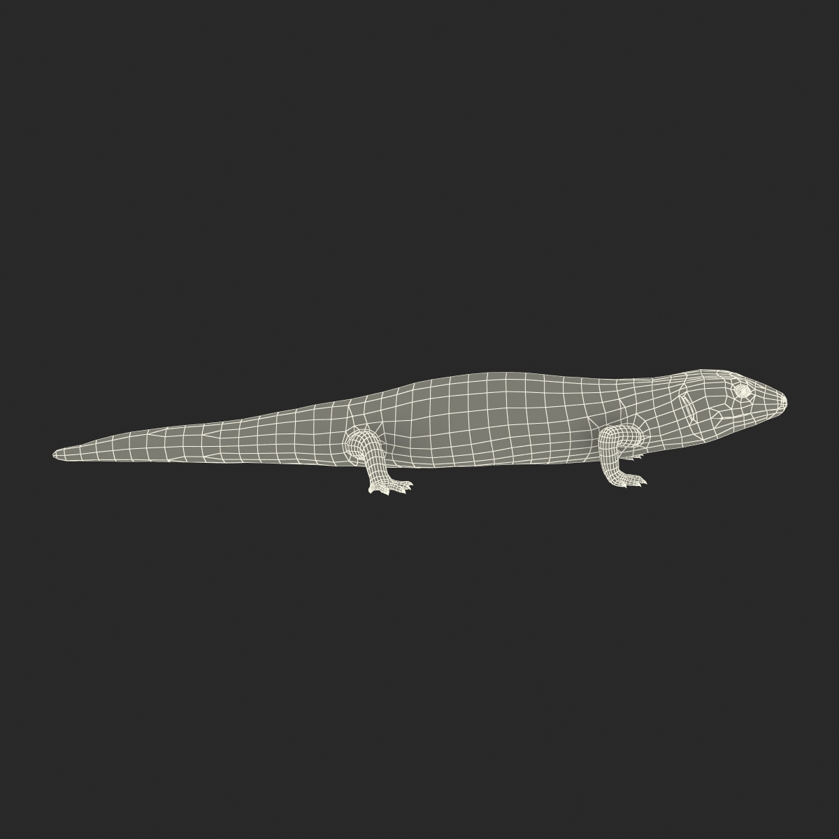 3D model Blue Tongued Skink Rigged