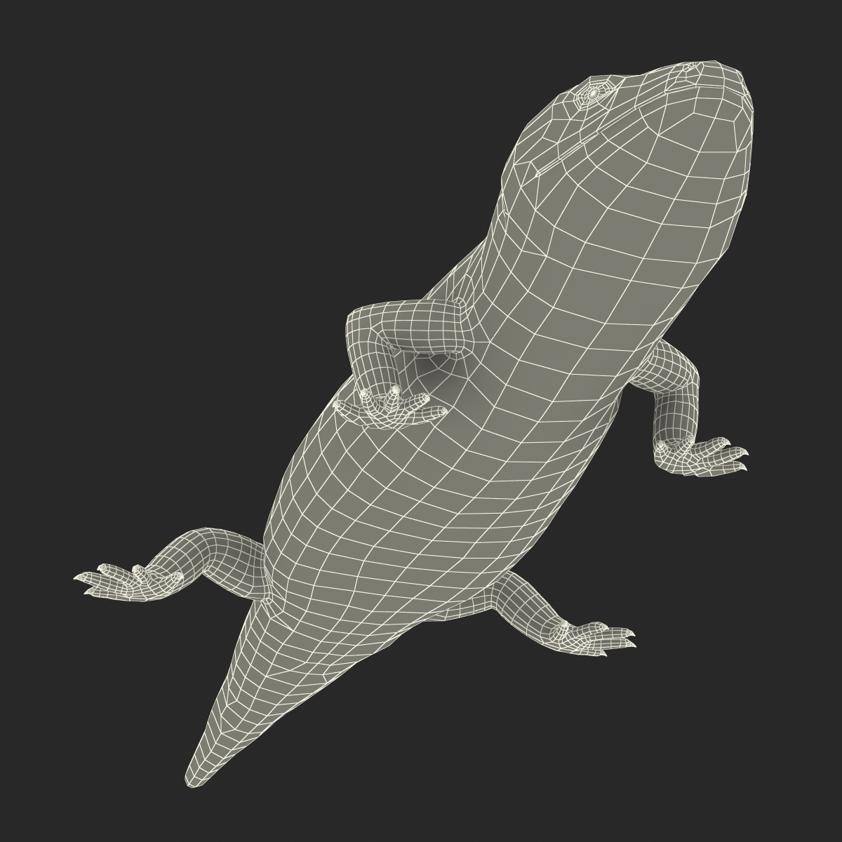 3D model Blue Tongued Skink Rigged