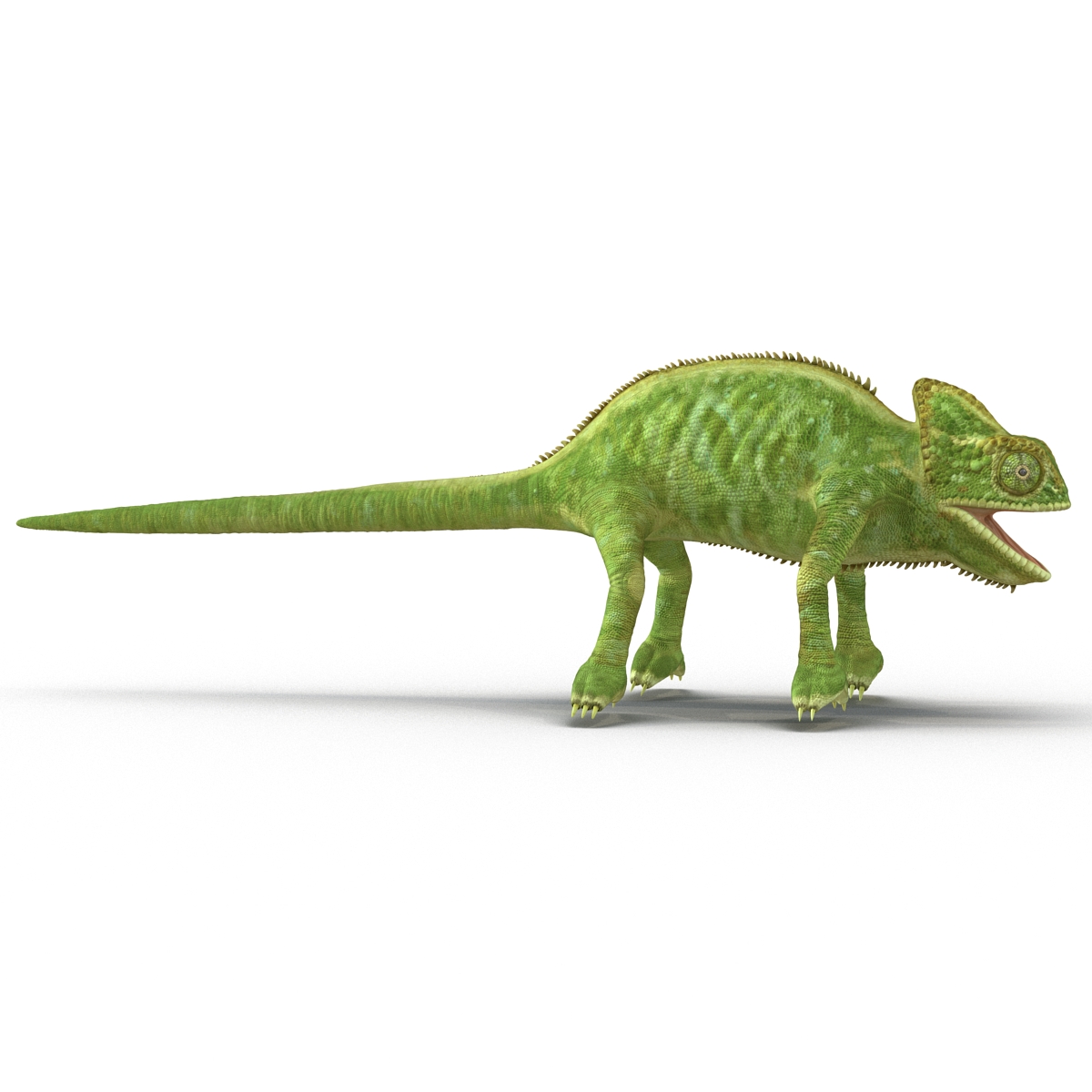 3D Chameleon Rigged