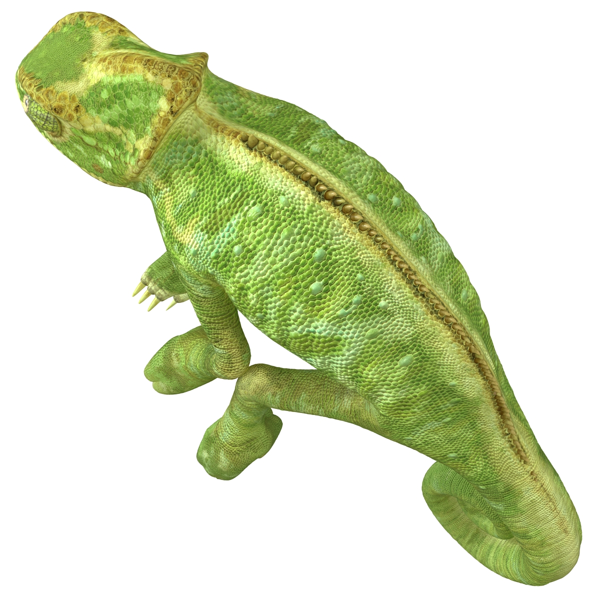 3D Chameleon Rigged