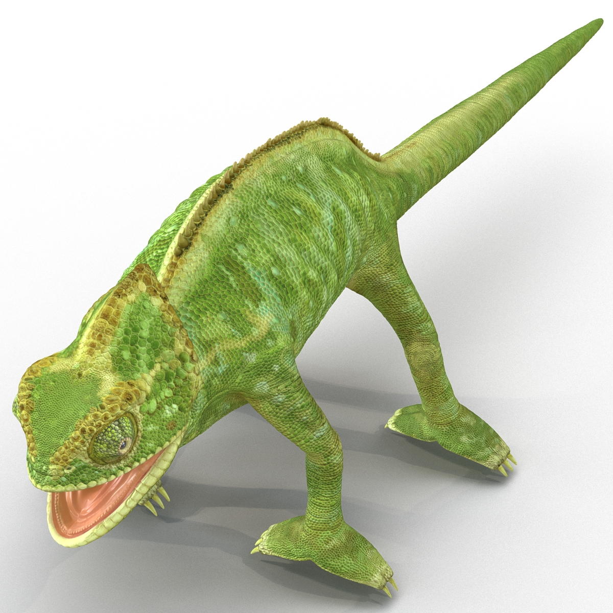 3D Chameleon Rigged