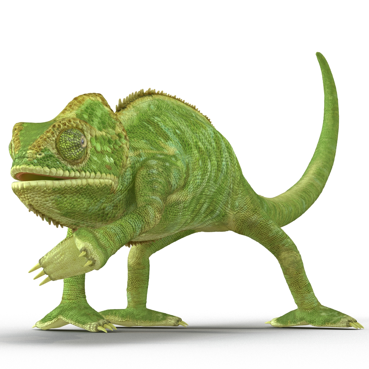 3D Chameleon Rigged