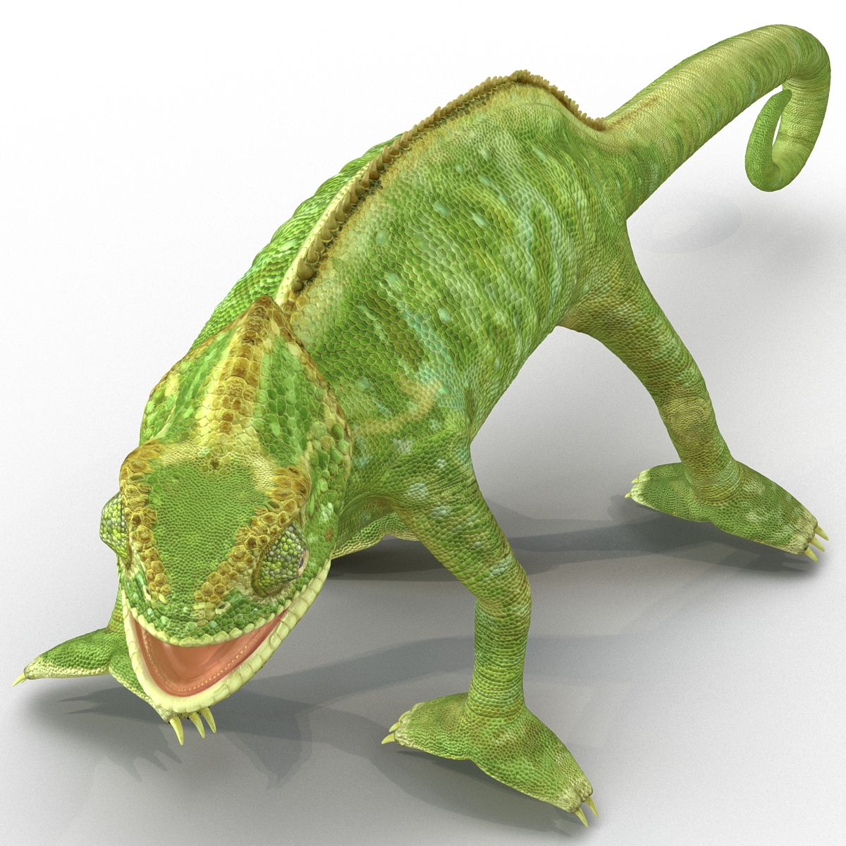 3D Chameleon Rigged