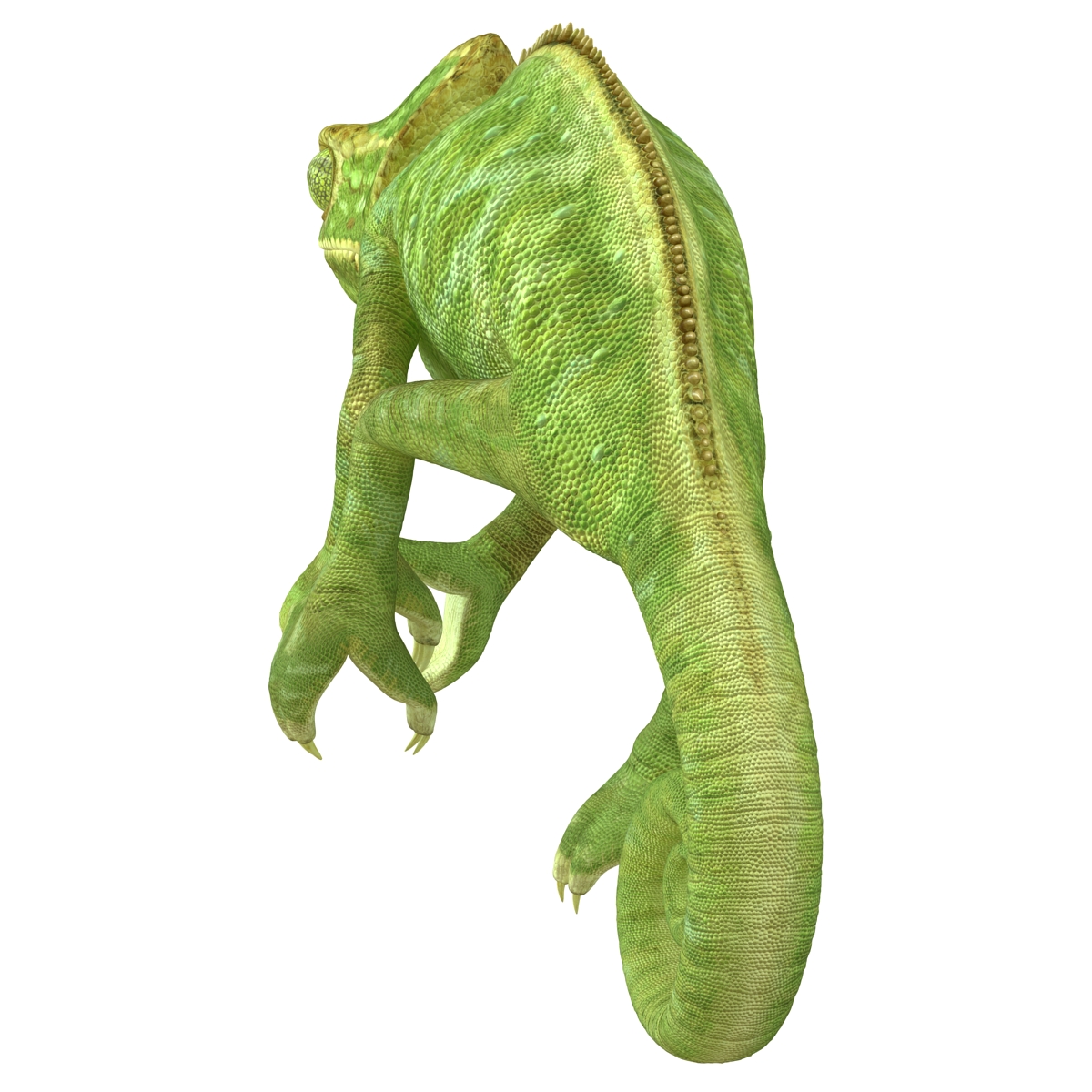 3D Chameleon Rigged