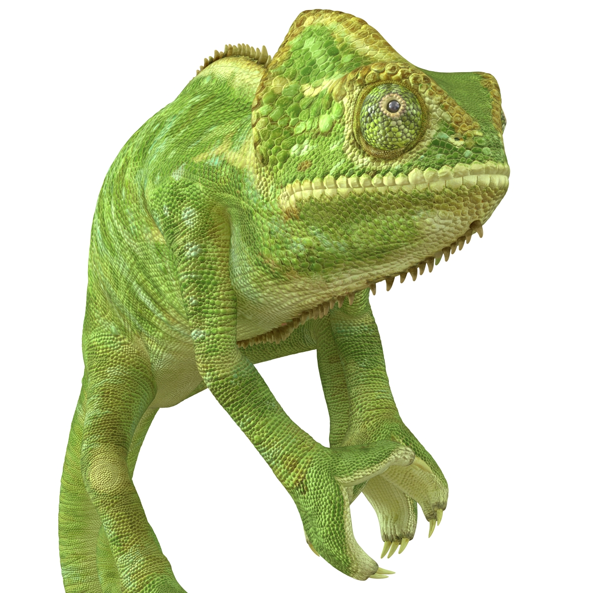 3D Chameleon Rigged