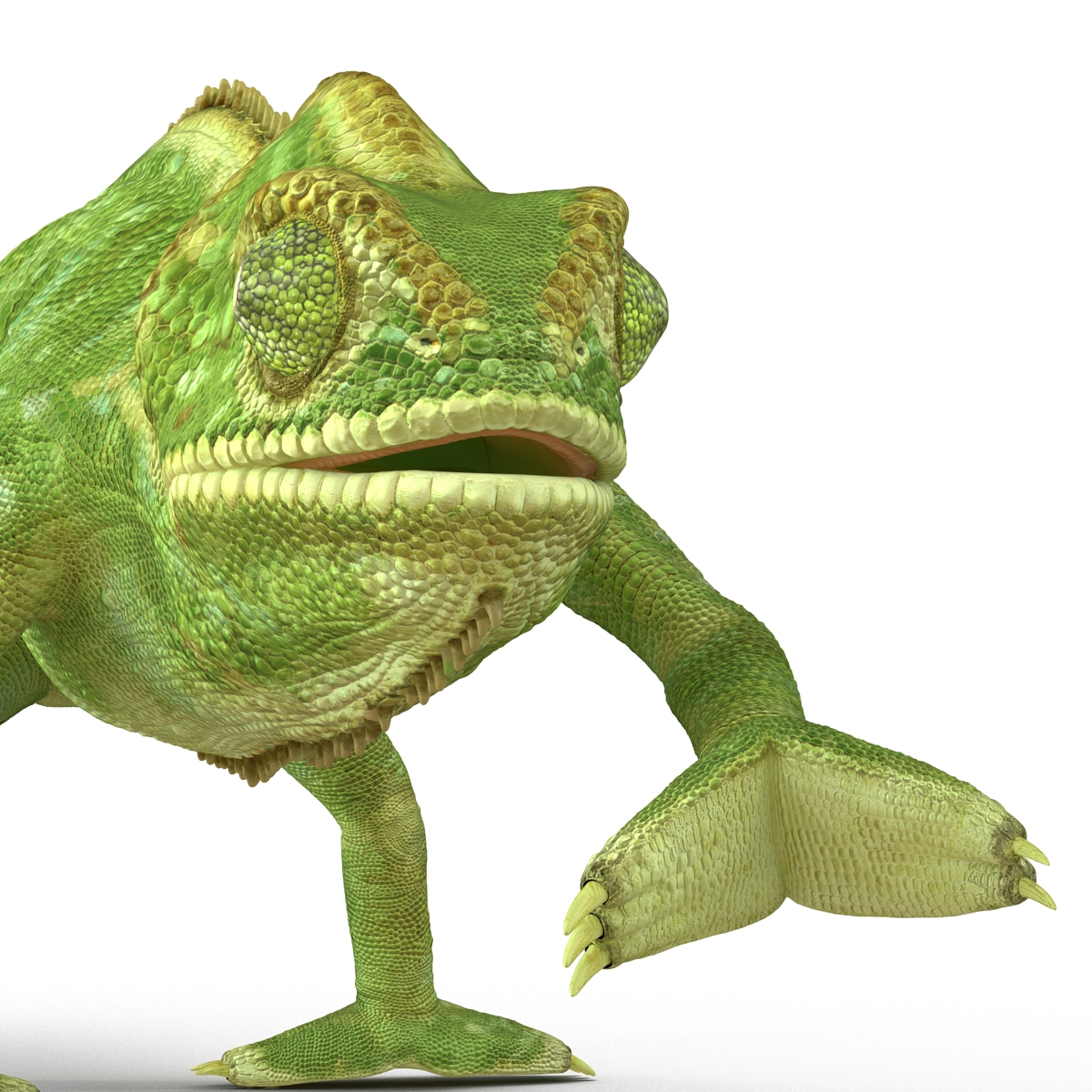 3D Chameleon Rigged