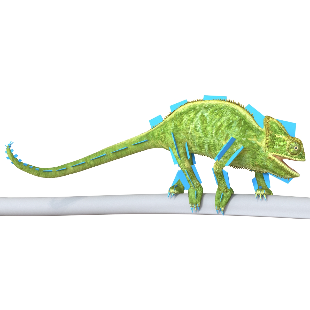 3D Chameleon Rigged