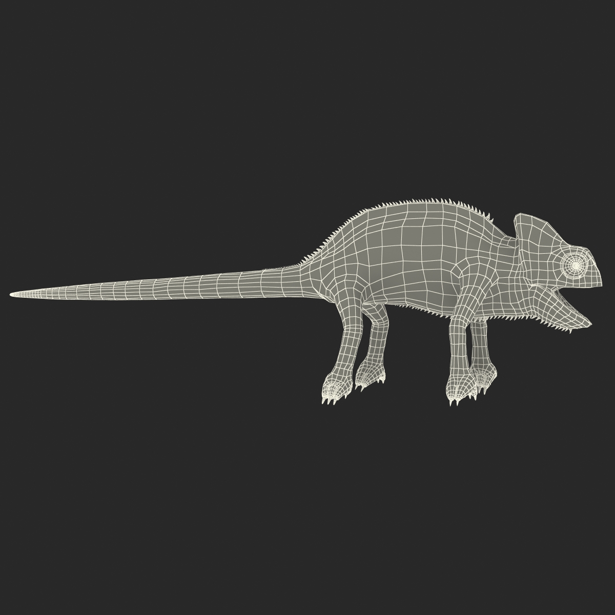 3D Chameleon Rigged