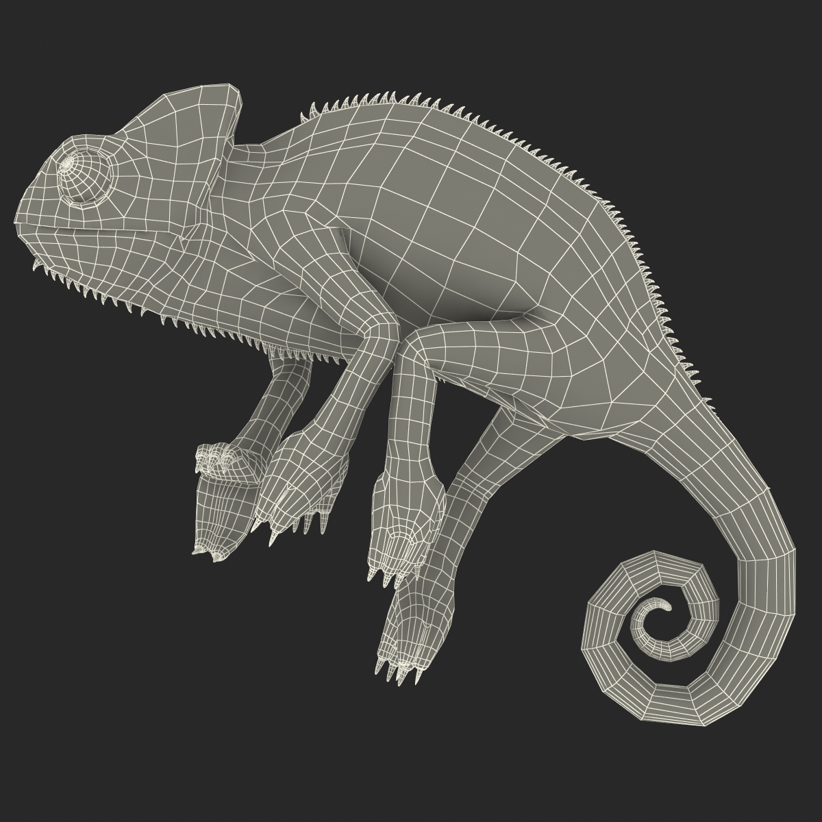 3D Chameleon Rigged