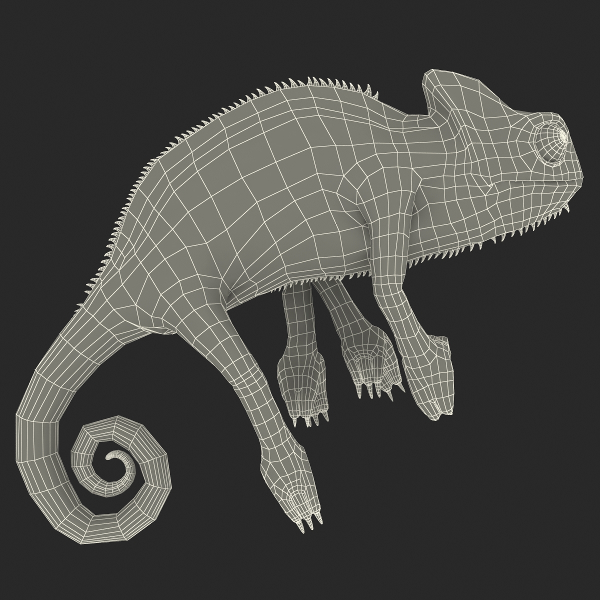 3D Chameleon Rigged