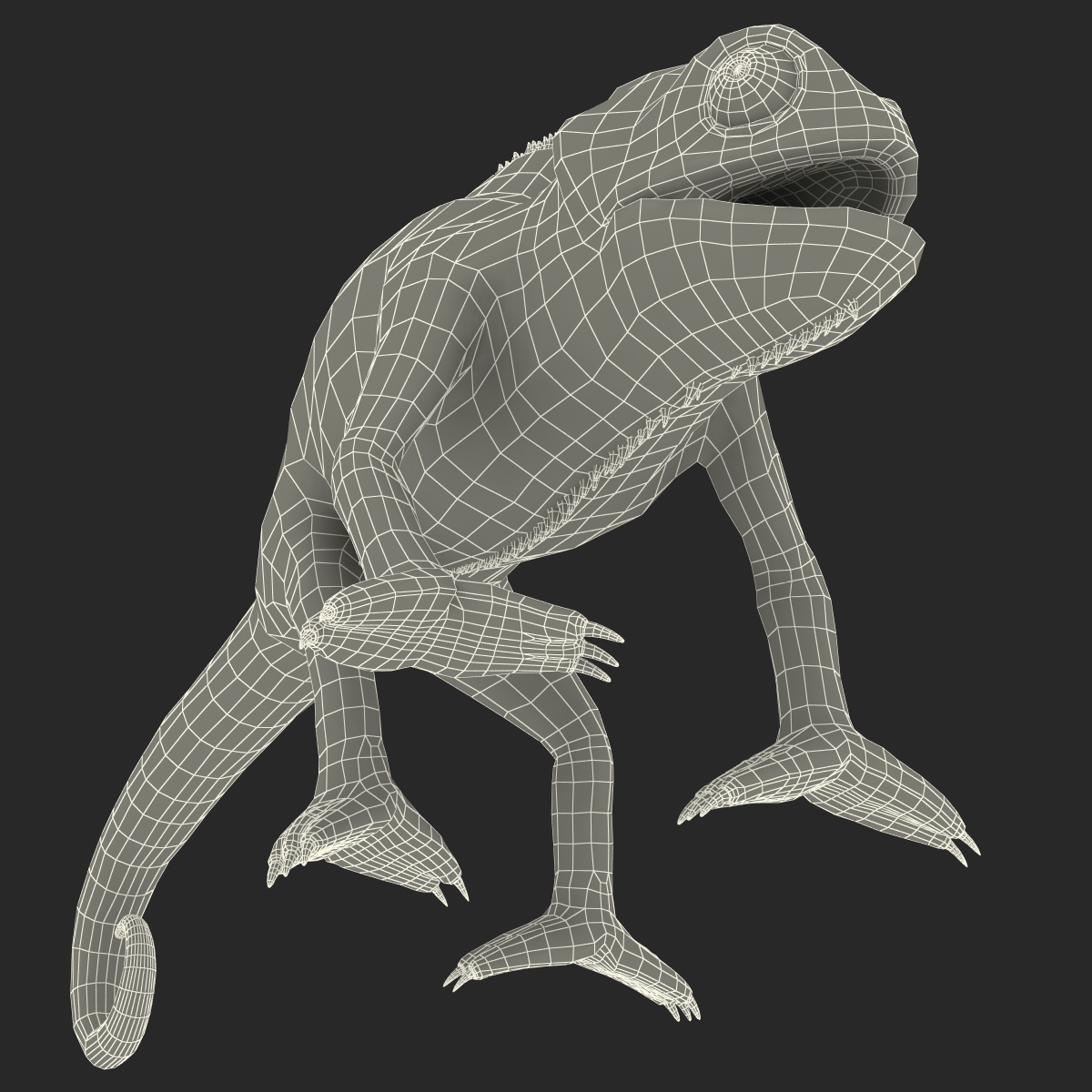 3D Chameleon Rigged