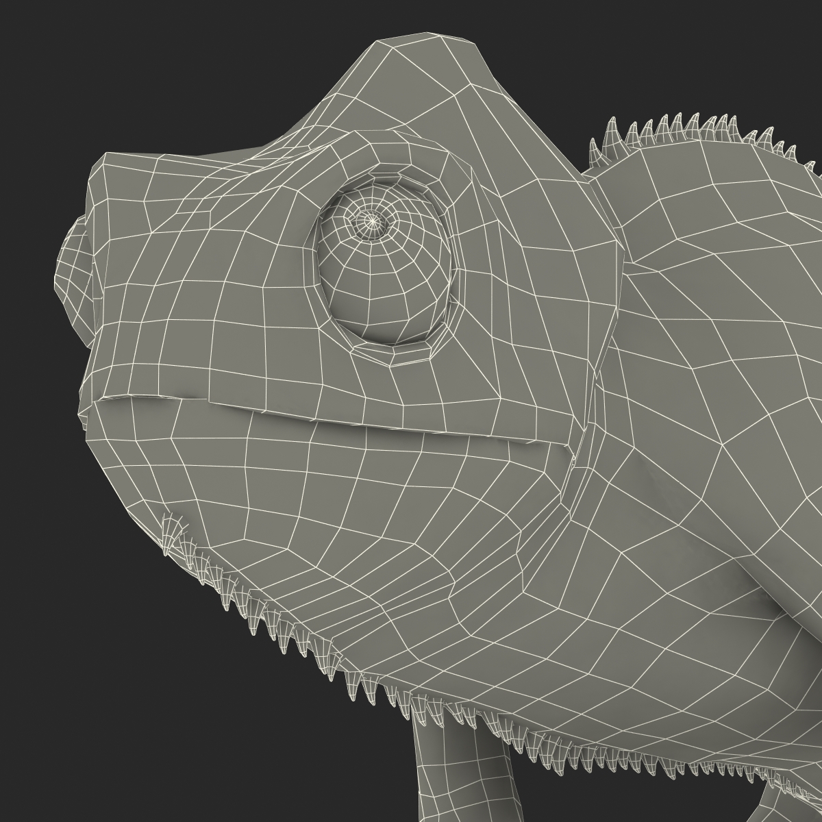 3D Chameleon Rigged