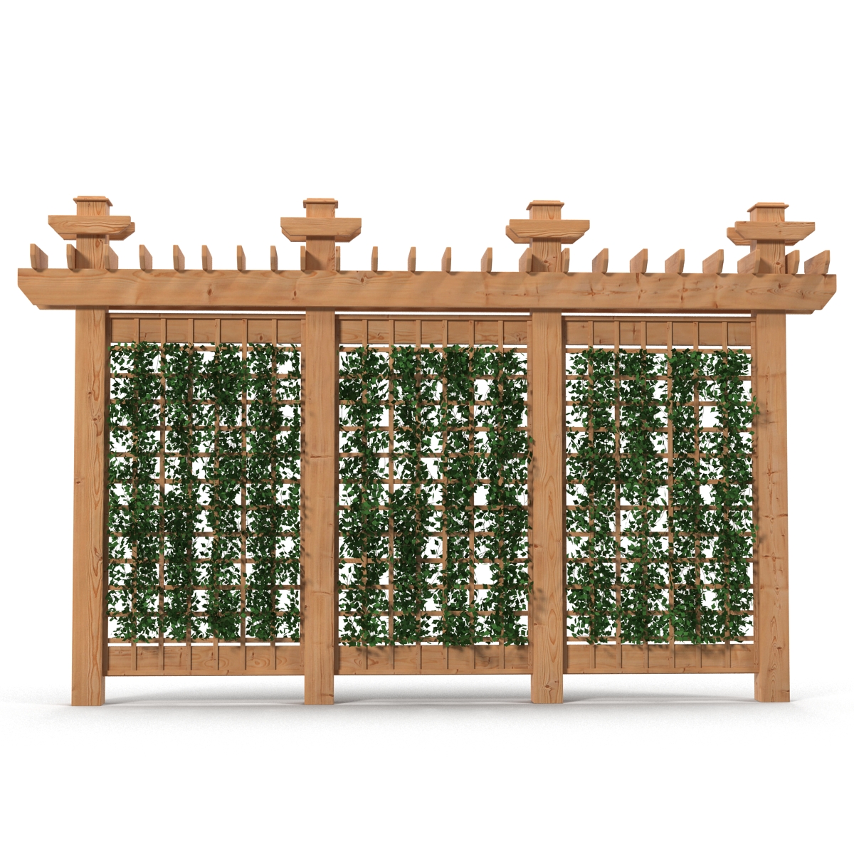 Garden Trellis 3D model