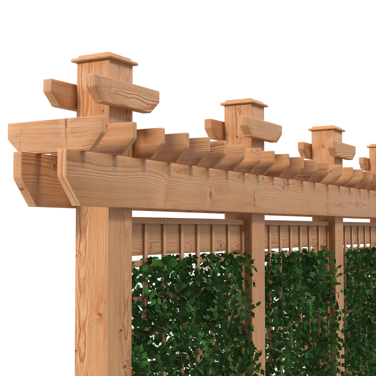 Garden Trellis 3D model