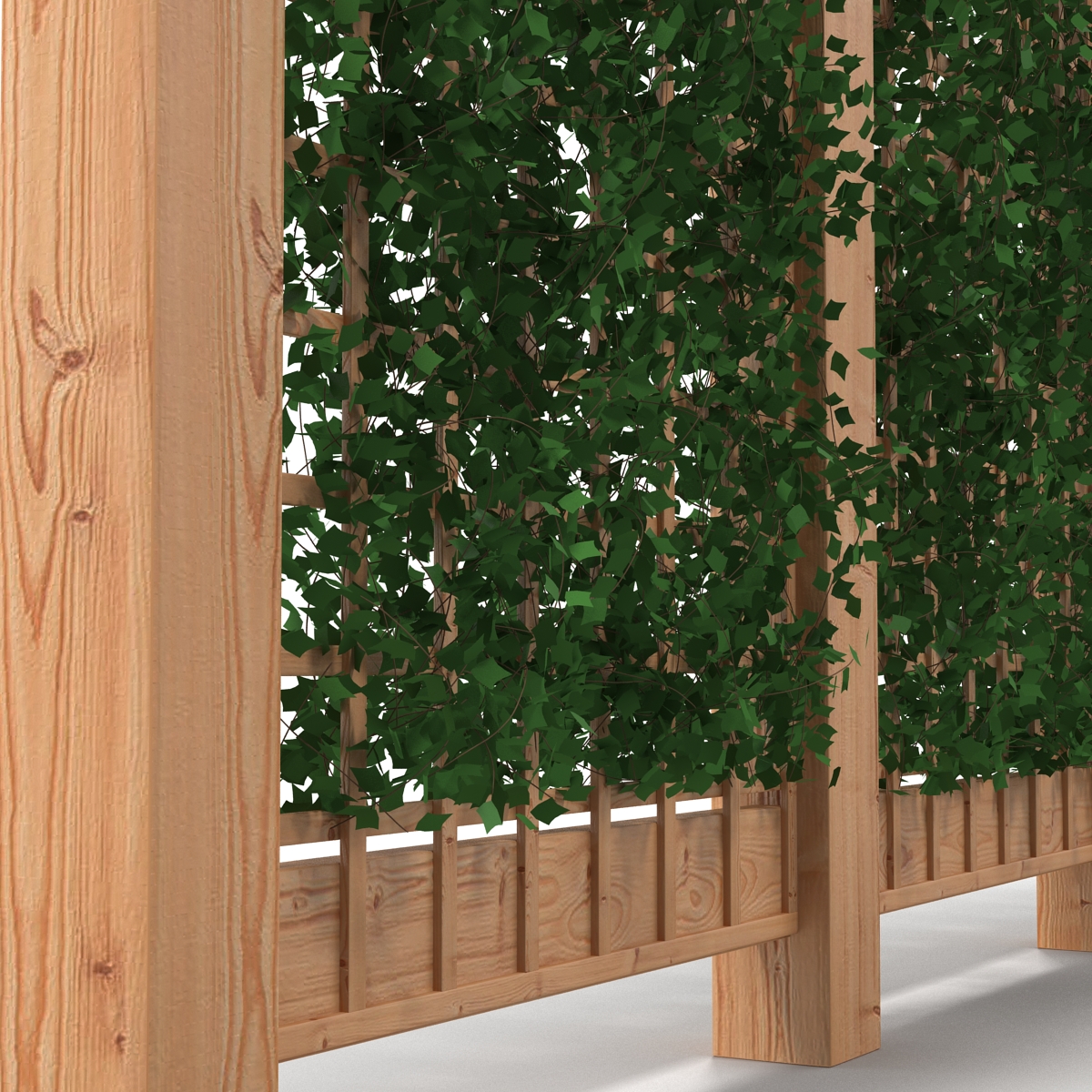 Garden Trellis 3D model