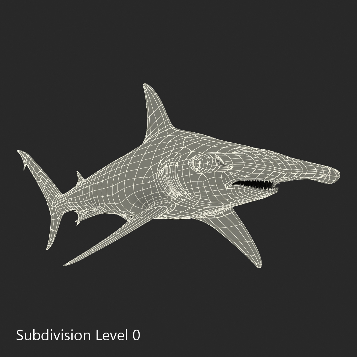 Great Hammerhead Shark 3D