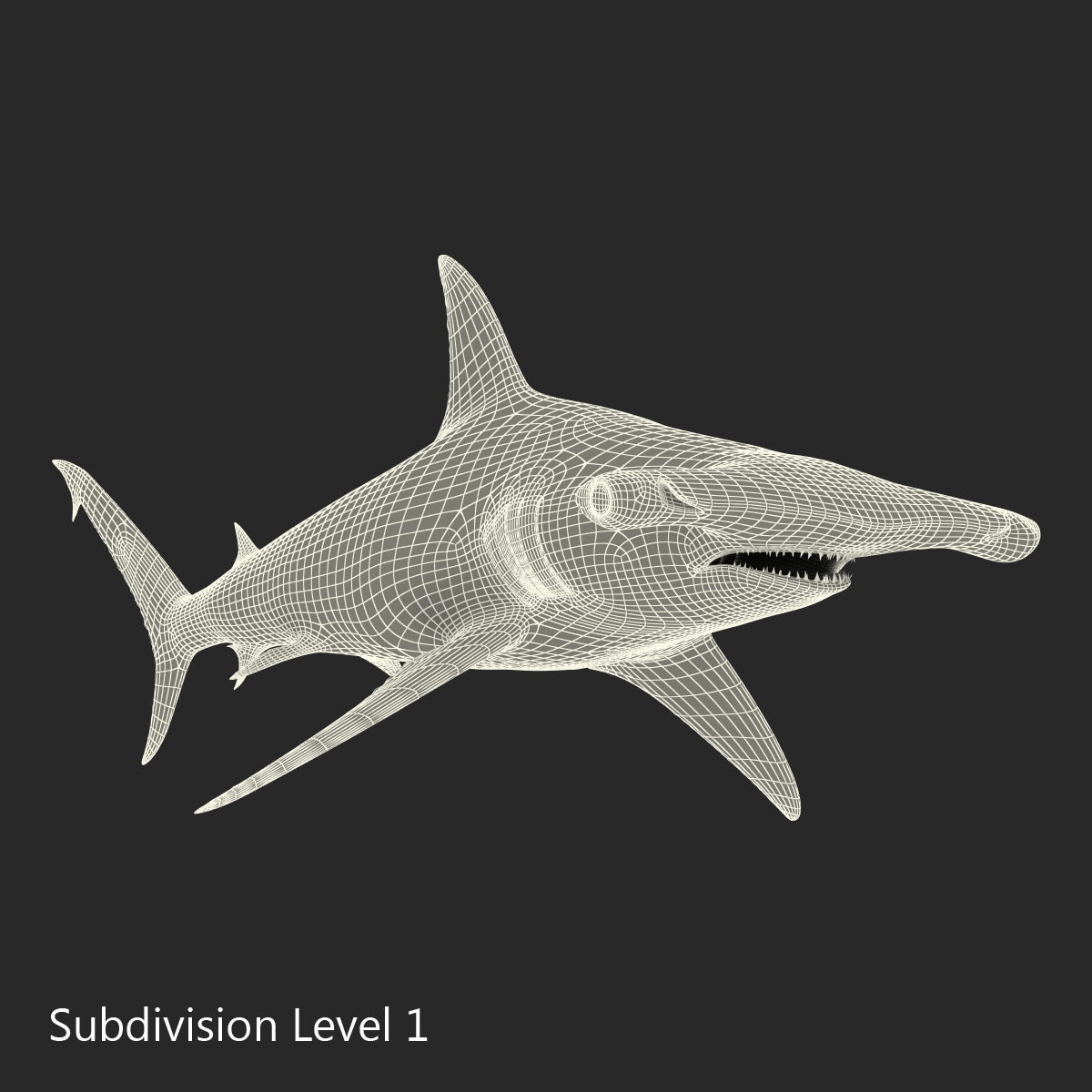 Great Hammerhead Shark 3D