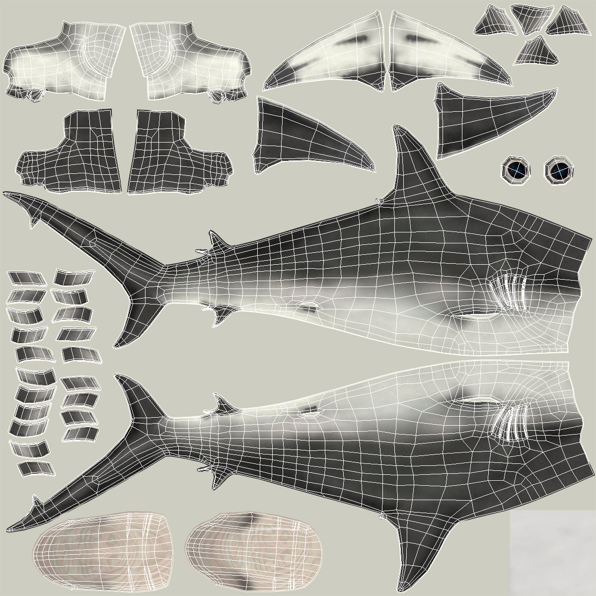 Great Hammerhead Shark 3D