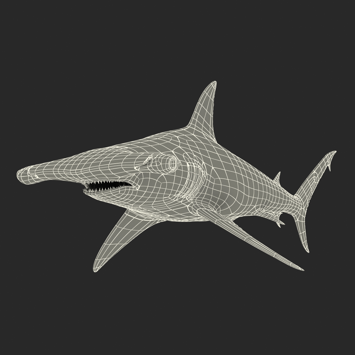 Great Hammerhead Shark 3D