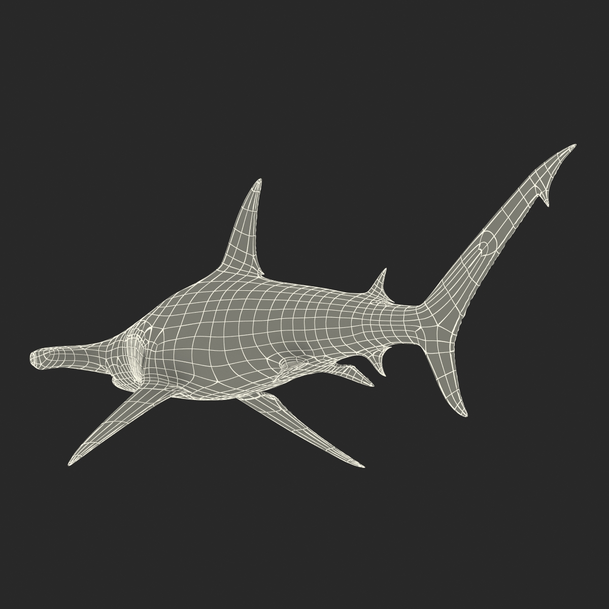 Great Hammerhead Shark 3D