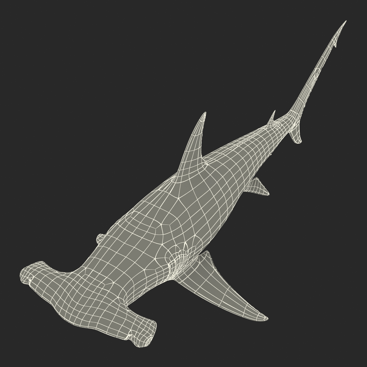 Great Hammerhead Shark 3D