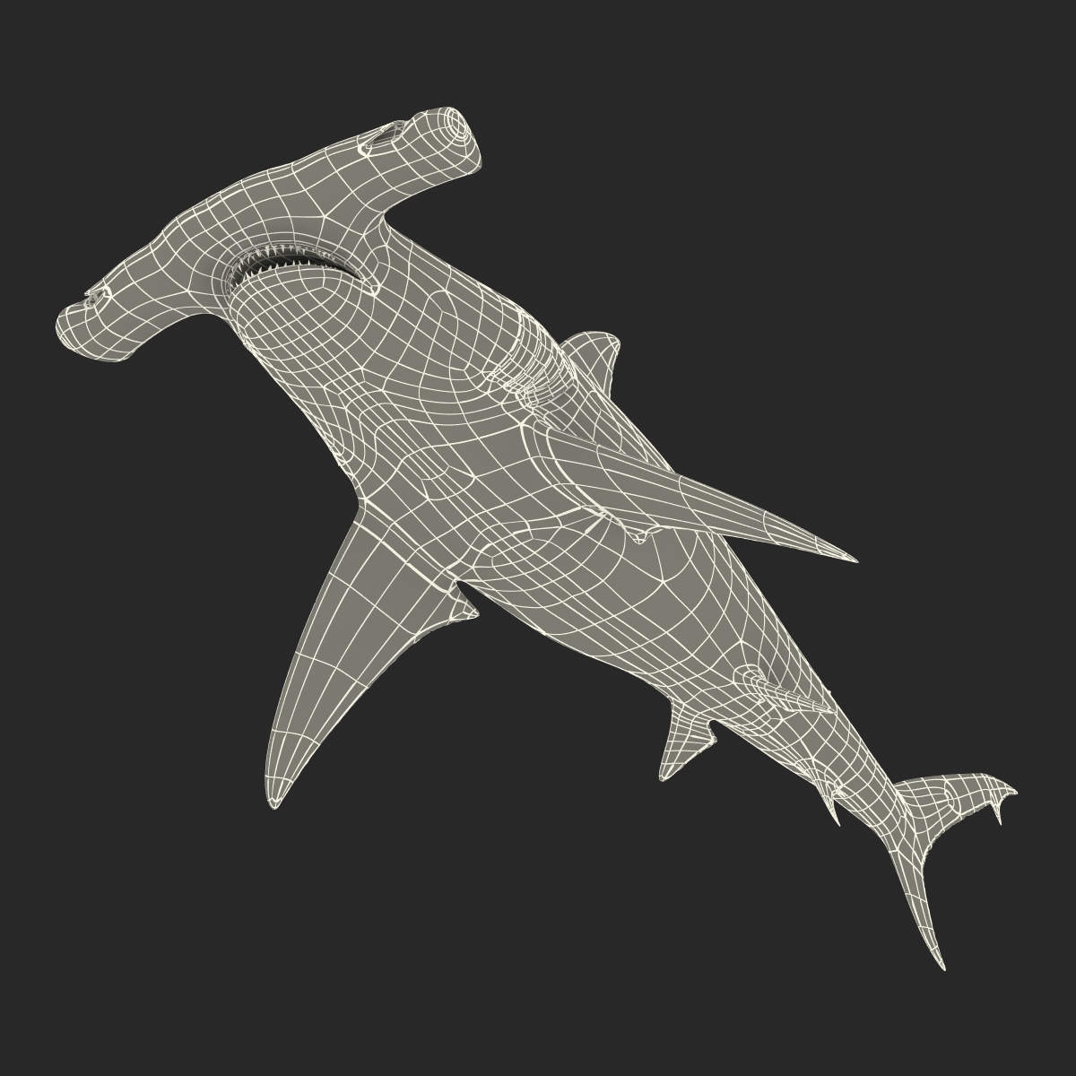 Great Hammerhead Shark 3D