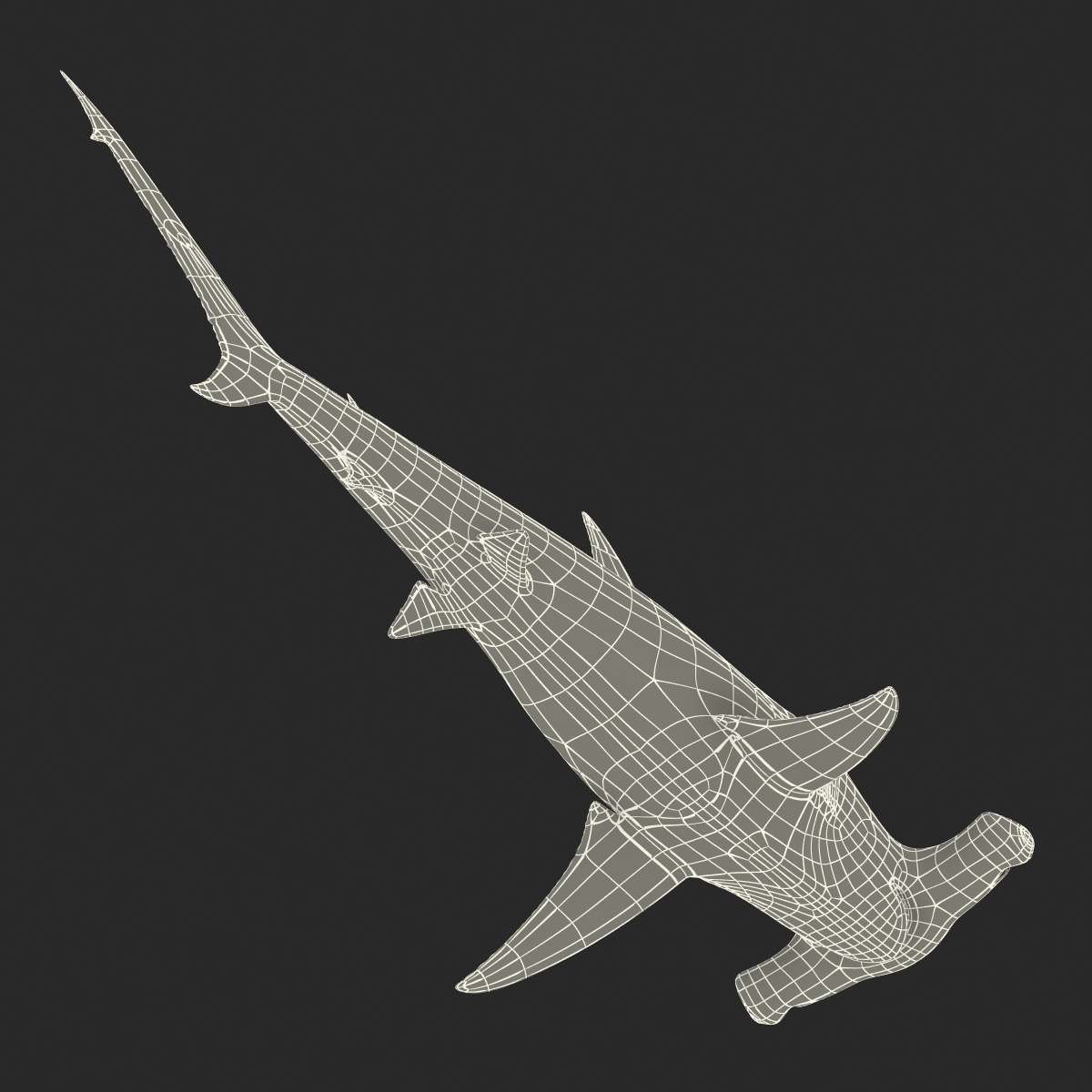 Great Hammerhead Shark 3D