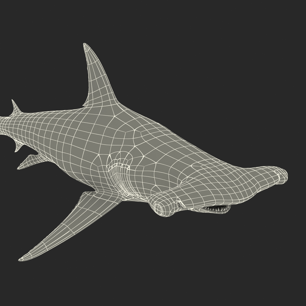 Great Hammerhead Shark 3D