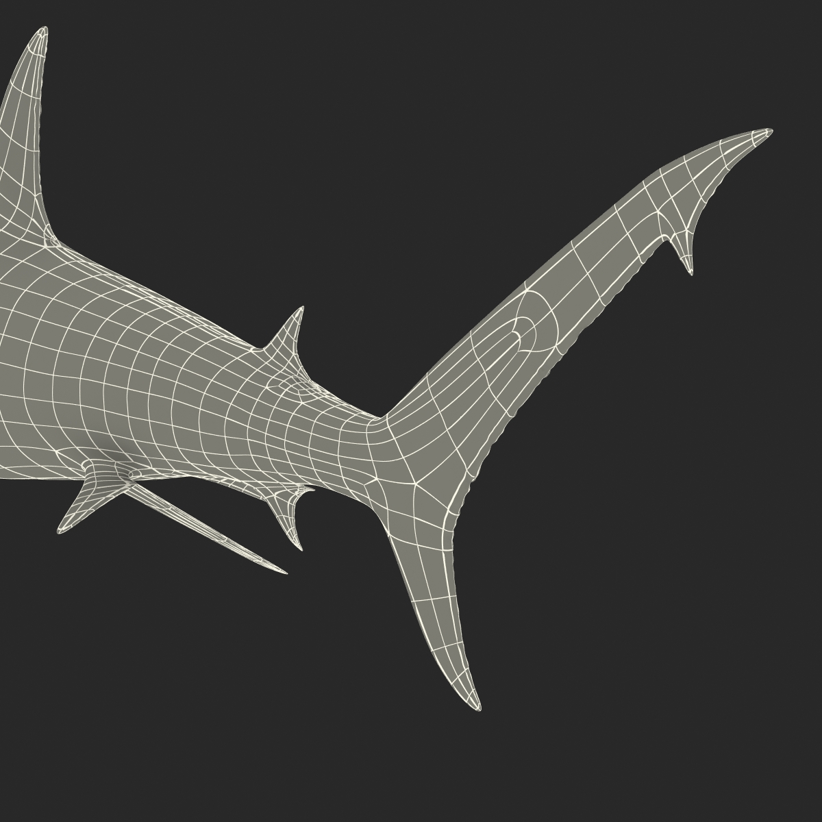 Great Hammerhead Shark 3D