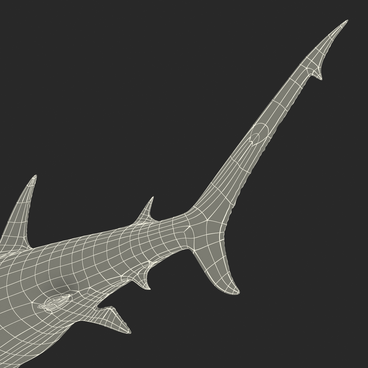 Great Hammerhead Shark 3D