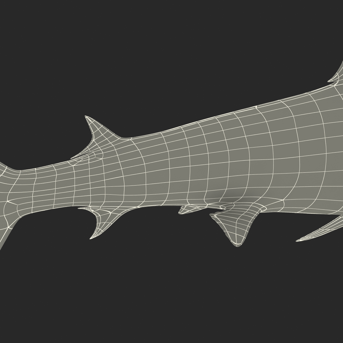 Great Hammerhead Shark 3D