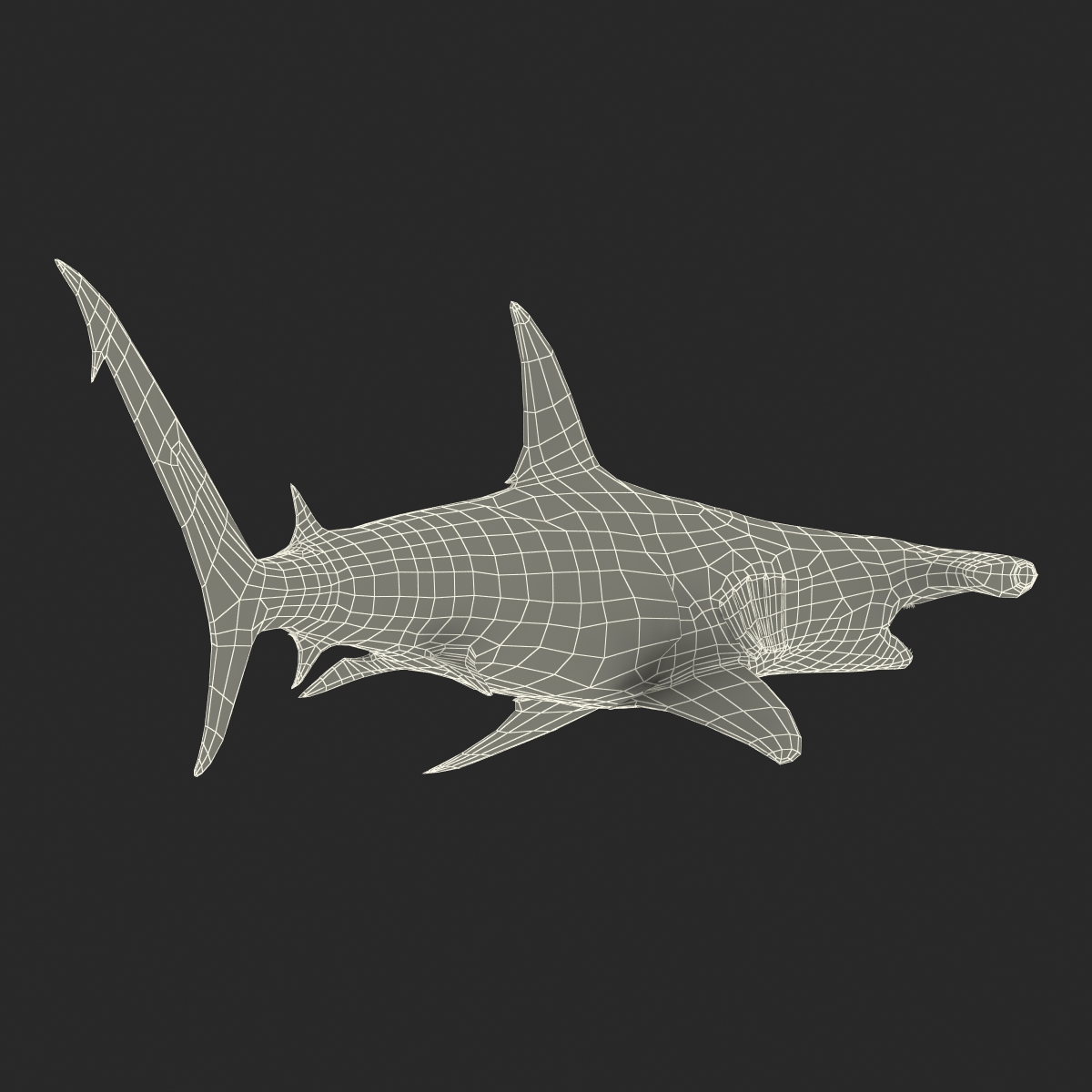 Great Hammerhead Shark Pose 2 3D model