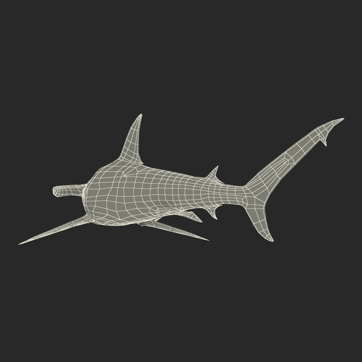 Great Hammerhead Shark Pose 2 3D model