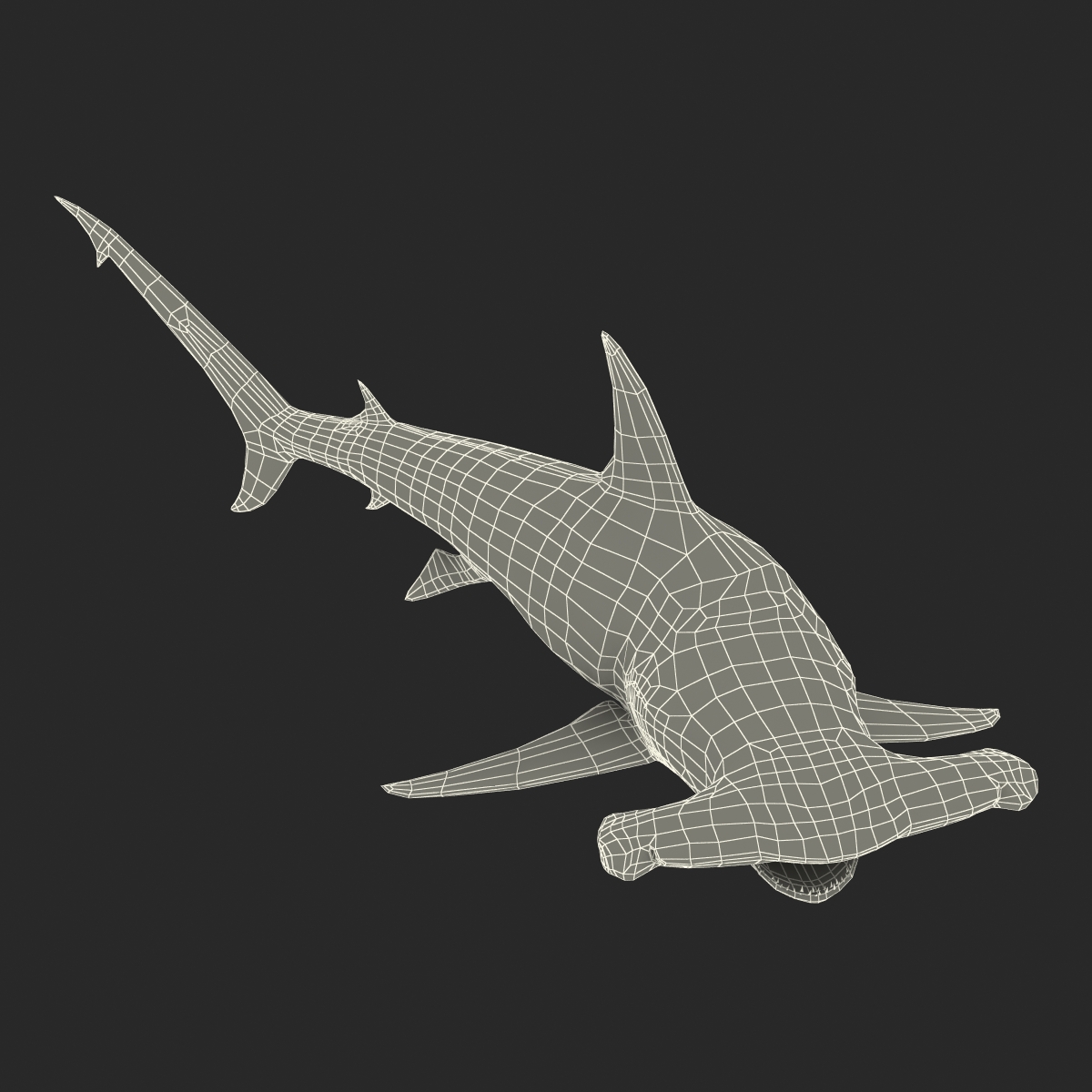 Great Hammerhead Shark Pose 2 3D model