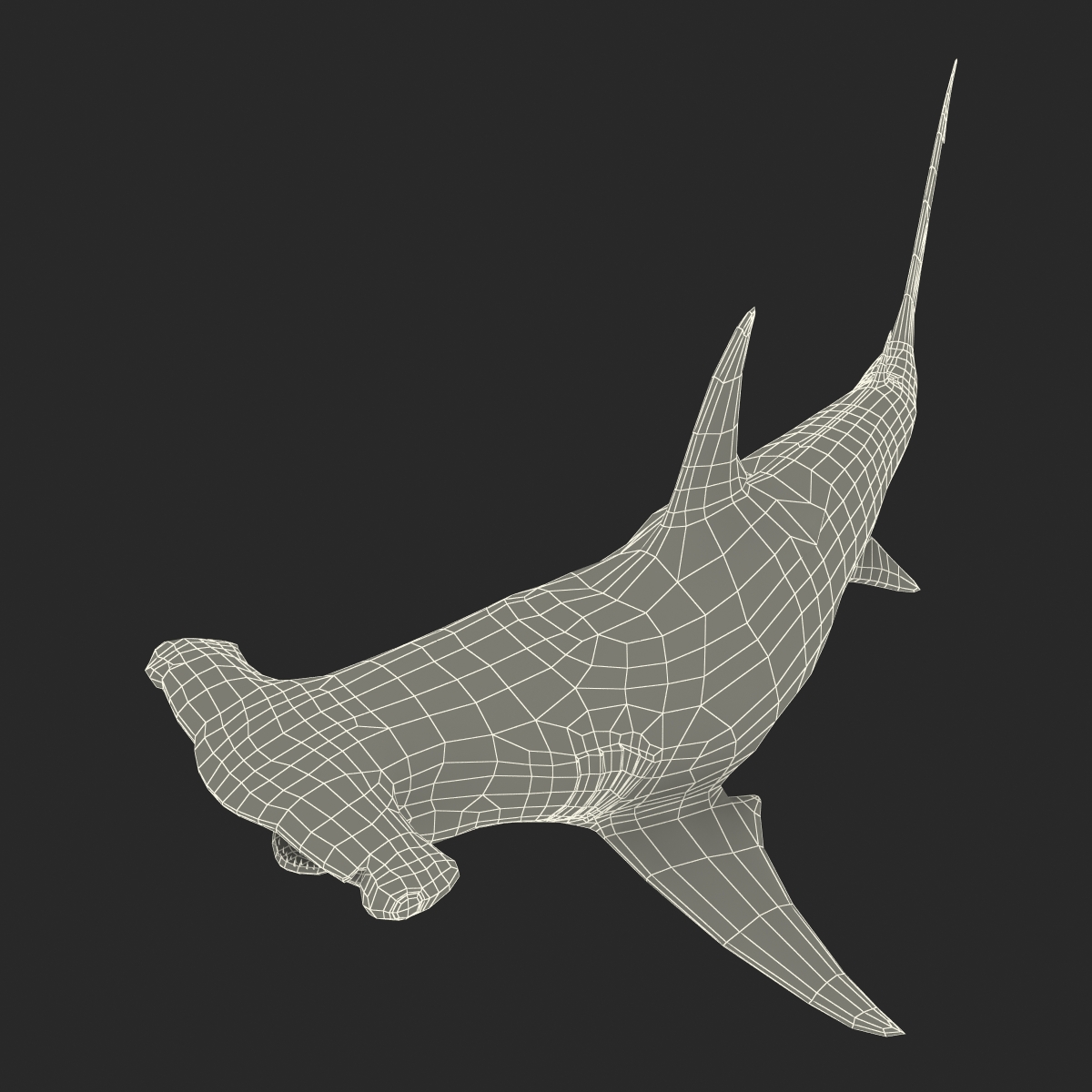 Great Hammerhead Shark Pose 2 3D model