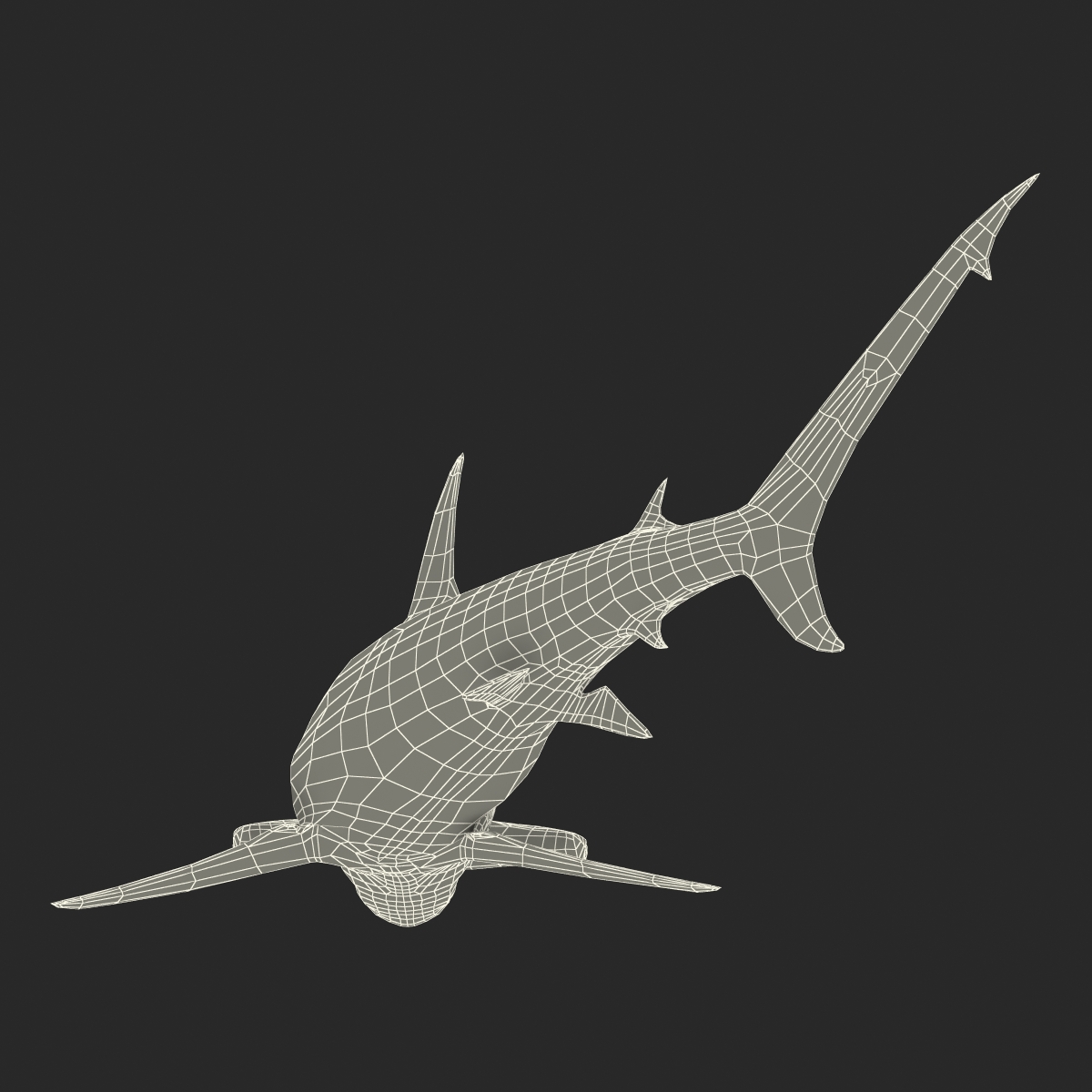 Great Hammerhead Shark Pose 2 3D model